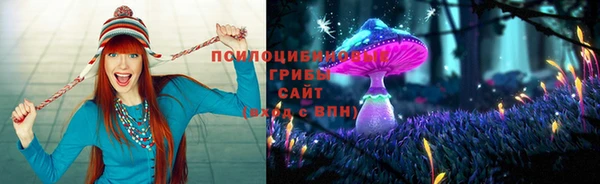 таблы Горняк