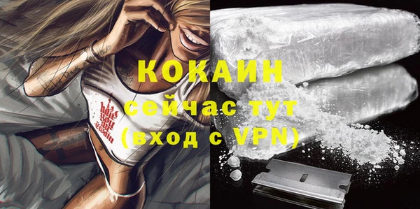 гидра Горнозаводск