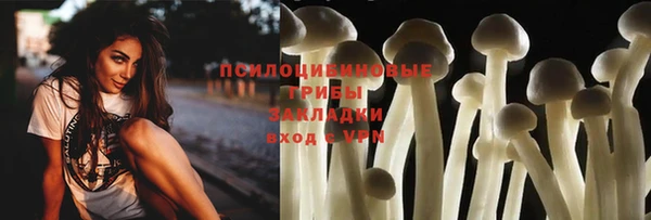 таблы Горняк