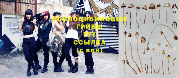 экстази Гусев