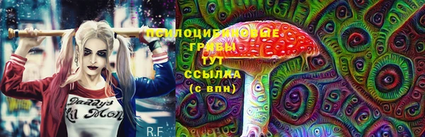 гидра Горнозаводск