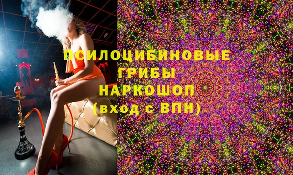 гидра Горнозаводск