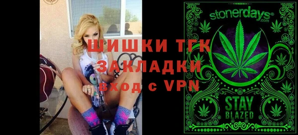гидра Горнозаводск